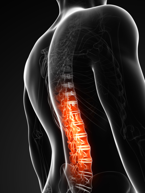 How to Quickly Recover from All Levels of Spinal Cord Injury